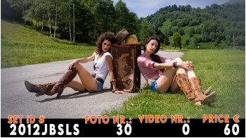 2012jbsls_21510959